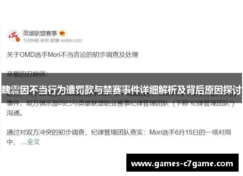 魏震因不当行为遭罚款与禁赛事件详细解析及背后原因探讨