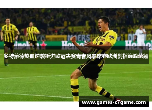 多特蒙德热血逆袭挺进欧冠决赛青春风暴席卷欧洲剑指巅峰荣耀